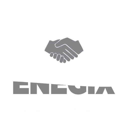 Enegix Consultancy